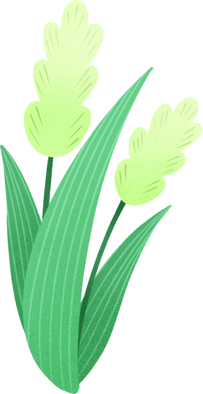 植物插画手绘春天彩色芦苇渐变绿植噪点装饰...