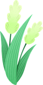 植物插画手绘春天彩色芦苇渐变绿植噪点装饰素材图片