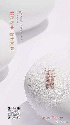 何瑞华采集到personal