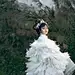「鹤梦疑重续」