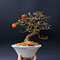 怡景园 日本小品老鸦柿 花果盆景 微型盆栽 实物拍摄2-淘宝网