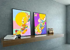 全泽－粤兔