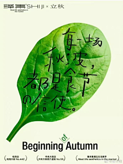 吴吴吴东吴采集到版式