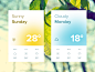 Weather Widget UI (Freebie)