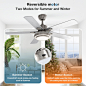 Amazon.com: warmiplanet 吊扇带灯光遥控器,52 英寸,拉丝镍(5 个叶片) : 家居装修