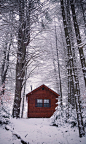 Snow days and cozy cabins