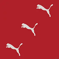 PUMA-70年轨迹海报设计-波黑Helvetiphant ™ [26P] 7.png
