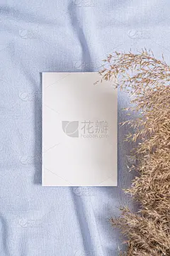 白色空白纸卡模型pampas干草蓝色中性色纺织品
