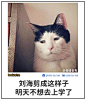 热榜