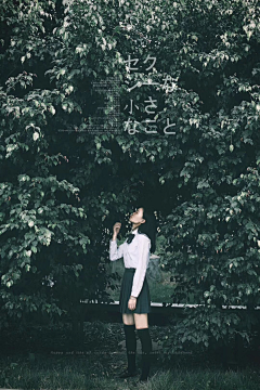 花花在云端采集到摄影丨大场景