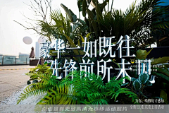 可可可达鸭采集到立体字