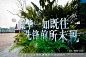 2022 全新奔驰EQE东莞上市活动_新车发布会图集-活动汪，更多高清无水印照片请关注@活动汪