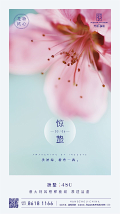 逻辑菌采集到惊蛰海报收集