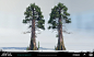 Avatar:Frontiers of Pandora - Clouded Forest Sequoia Giant