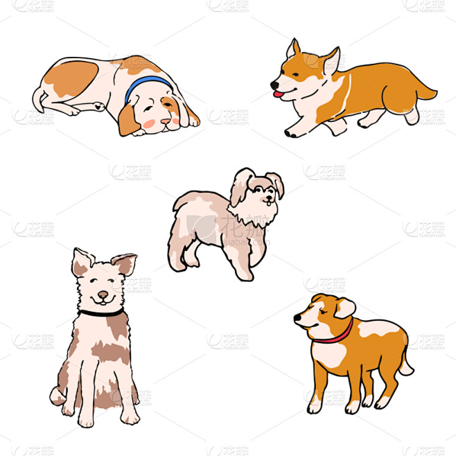 狗,绘画插图,多色的,可爱的,背景分离,多样,肖像,动物群,小的,动物