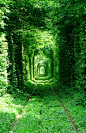 [组图] 乌克兰爱的隧道 全球最美火车道 - 路人@行者 - 路人@行者【很漂亮吧，位于乌克兰的一条火车道，周围都是树，也被称为爱的隧道，由摄影师 Oleg Gordienko 拍摄。】
