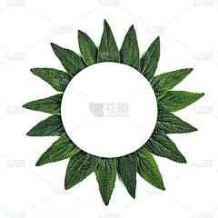 创意的背景由新鲜的树叶与纸卡片笔记。