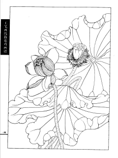 晓呆羊采集到画-白描-速写-缠绕画