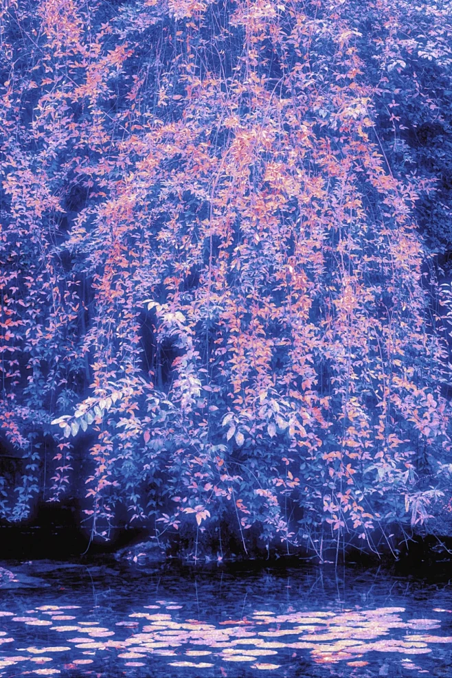 梦核-花瓣网