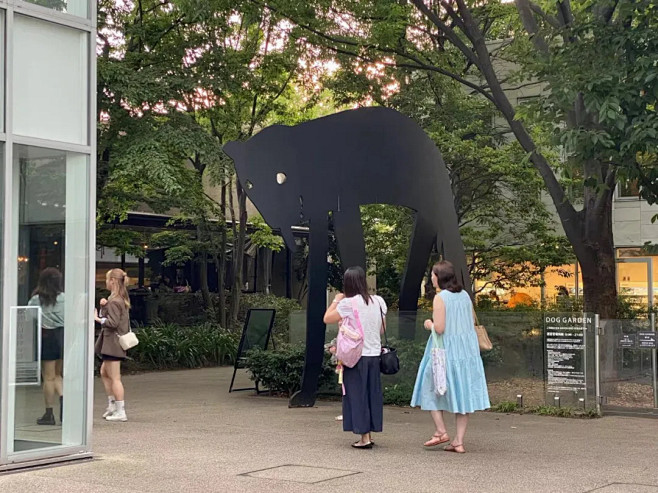 东京代官山 T Site 宠物犬友好设计