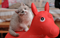 01d91b5548ffa20000019ae9a030c1.jpg@1280w_1l_2o_100sh