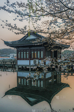 绘月初采集到建筑
