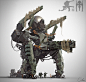 Robotortois, Chao XIN : Quite a big boy !