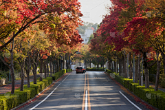 qing890108采集到市政道路