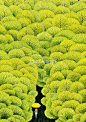 1040g2sg30rqtdvs32m005n18dc61ivlr4jkbt5o!nd_whlt34_webp_wm_1 (912×1296)