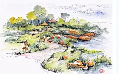 湿地公园景观手绘效果图(2)