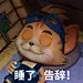 探探猫表情包：又到下班时间了？我还想继续工作！06