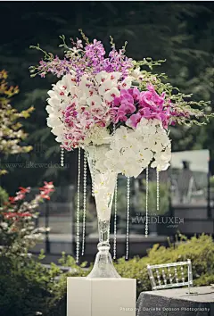 兰花紫布置灵感