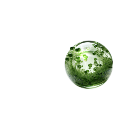 设计参考库采集到成分 分子