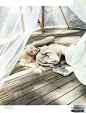 【f(x) Krystal】拍摄时尚杂志《ELLE》 8月刊画报
