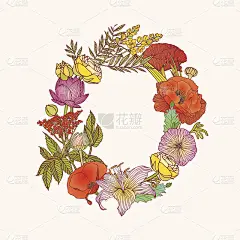 花的字母表。字母O