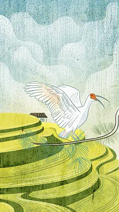 动物环保项目 | Elena-康 - 原创作品 - 涂鸦王国插画