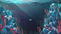 General 1920x1080 water fish coral reef coral underwater Tristan Gion sea