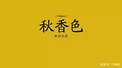 喜晴·W采集到F-手绘集—色彩