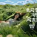 自由放空新大陆、青春、夏天、自由、草地、天空、旅行、生活态度
