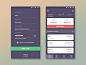 BTC Wallet App Concept: 