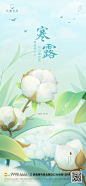 【仙图网】海报 地产 二十四节气   寒露  插画 棉花  |1025743 