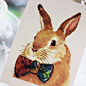 咔嘀cardii搞怪小兔子手绘插画明信片之兔仔……_来自Gr-47的图片分享-堆糖网