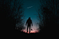 Silhouette Of Man And Trees