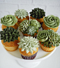 Buttercream Succulent Cakes by Leslie Vigil : Two years ago Leslie Vigil decided to merge her love of succulents and baking, using buttercream to decorate cupcakes and multi-teared cakes with bountiful collections of aloe, cacti,