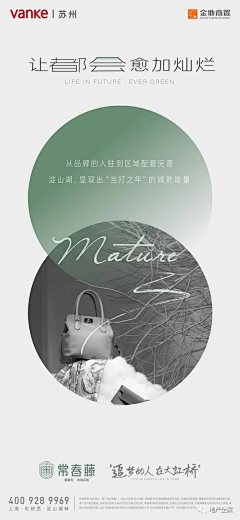 印象西湖雨A采集到绿色