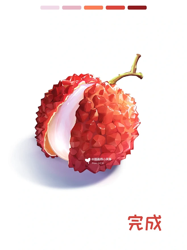 荔枝画法｜零基础学插画-花瓣网