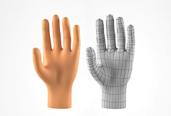 紧张的马尾辫采集到C4D