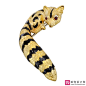 Van Cleef & Arpels 梵克雅宝