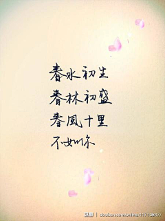 夏日的向日葵啊采集到i like it