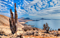 General 1400x875 nature landscape beach cactus sea hills clouds Atacama Desert coast Chile national park